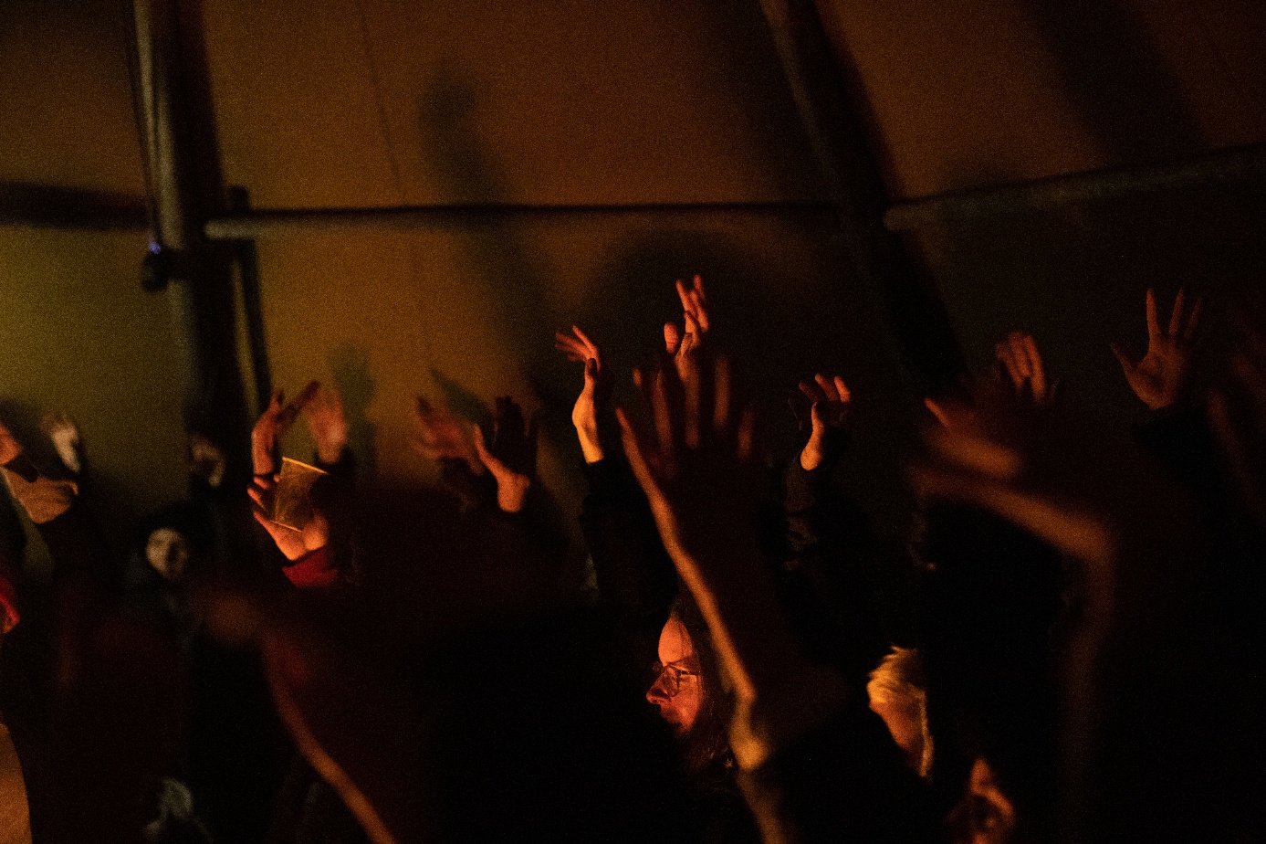 A few faces are visible among a series of arms and hands raised above heads within a dark space