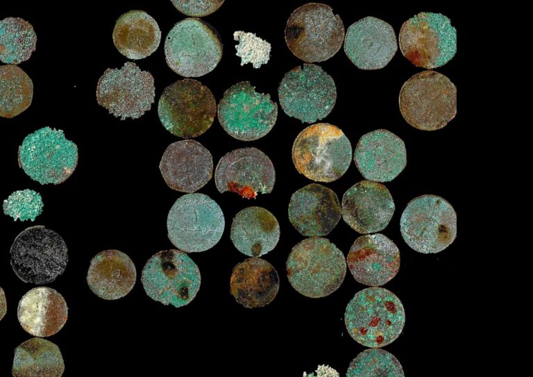 A close-up of a group of round objects AI-generated content may be incorrect.