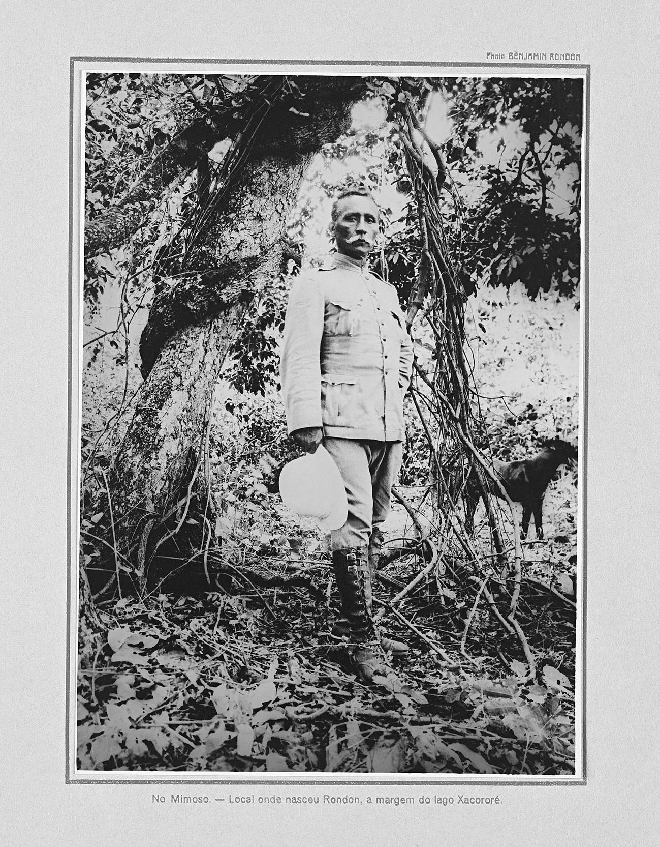 image1.jpg